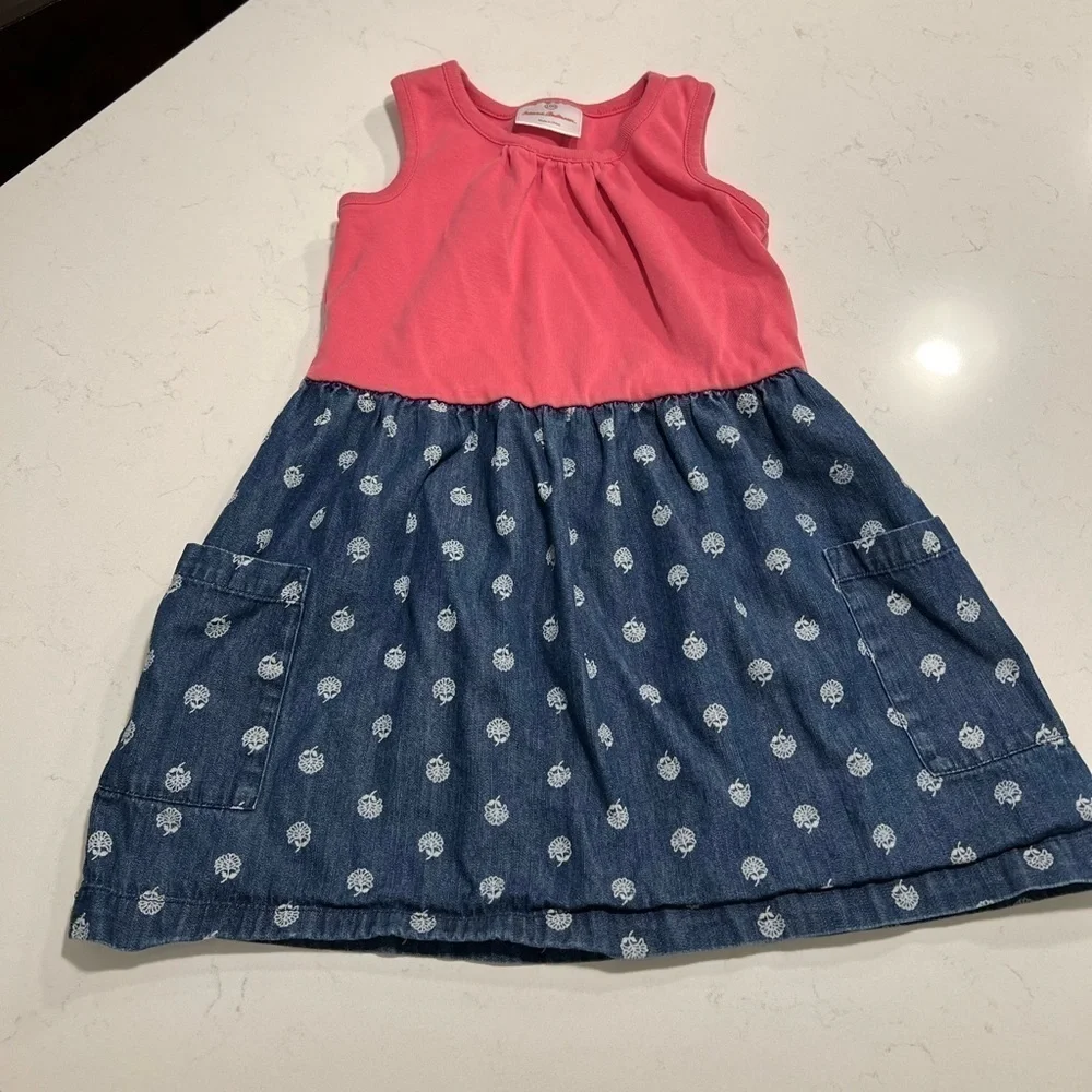 Hanna Anderson Pink and Chambray Floral Dress size 3-5 years